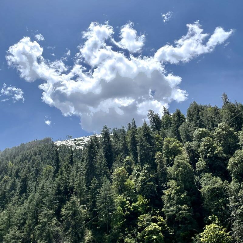 nos voyages en inde shimla 1